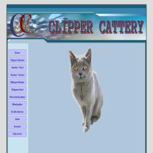 Clipper Cattery