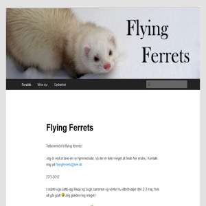 Flying Ferrets