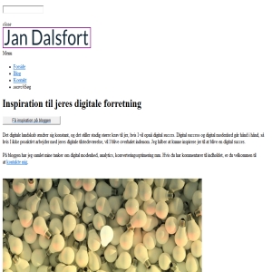 Jan Dalsfort