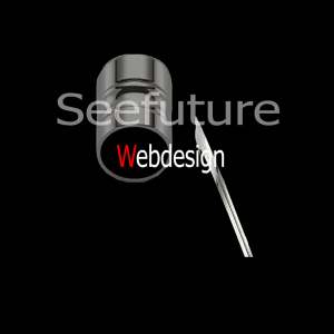 Seefuture Webdesign